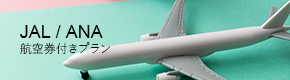 JAL / ANA 航空券付きプラン
